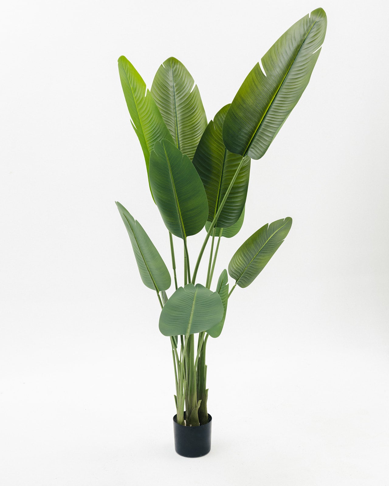 Augusta Artificial Tree