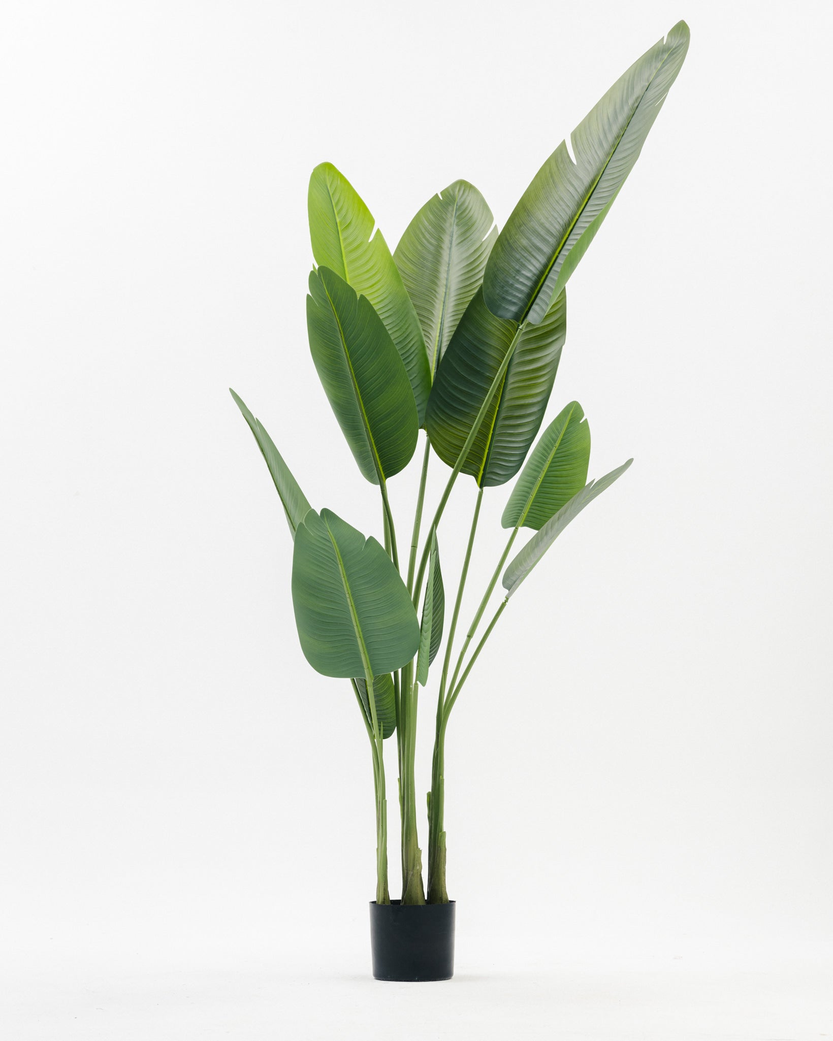 Augusta Artificial Tree