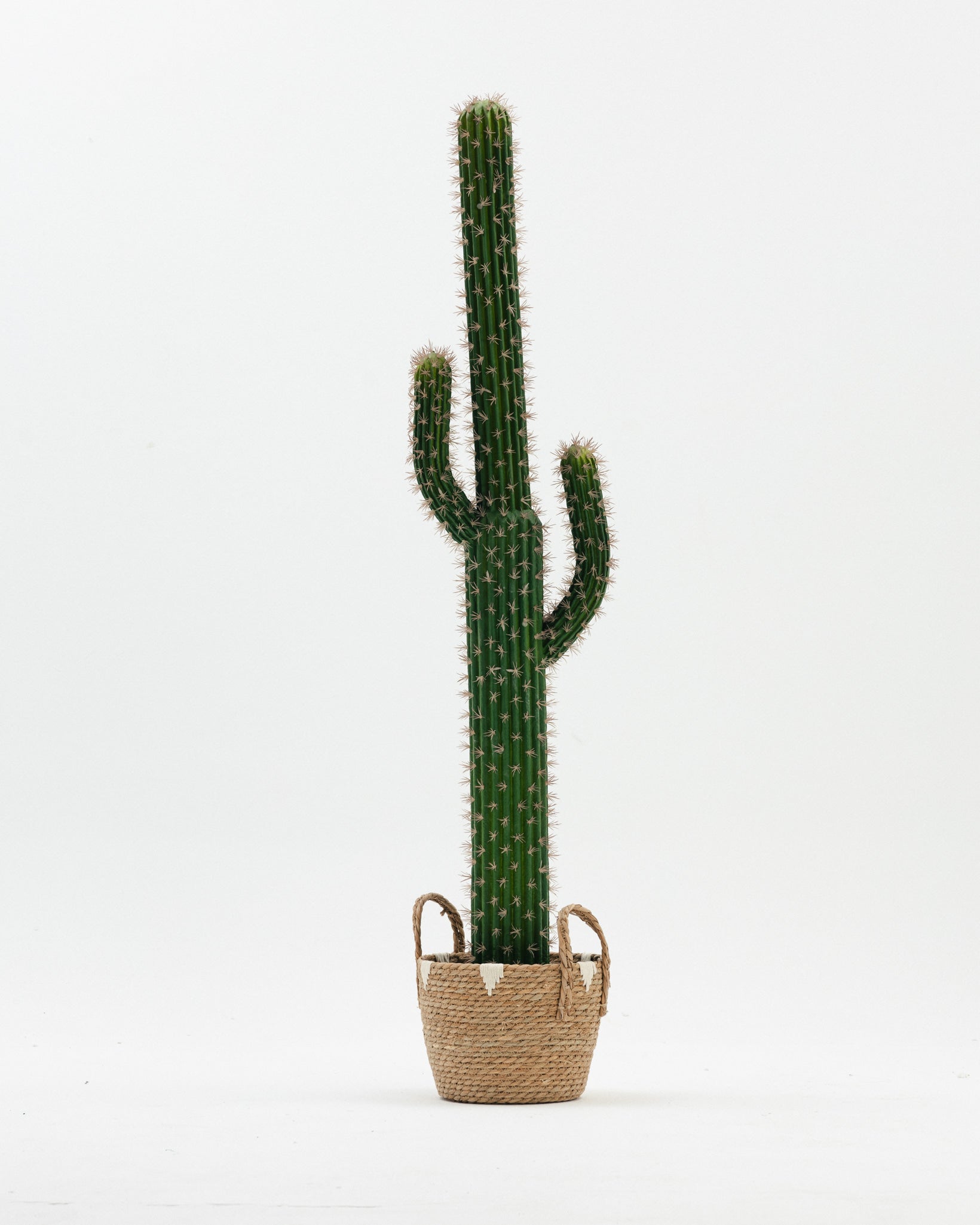 Cactus Artificial Tree