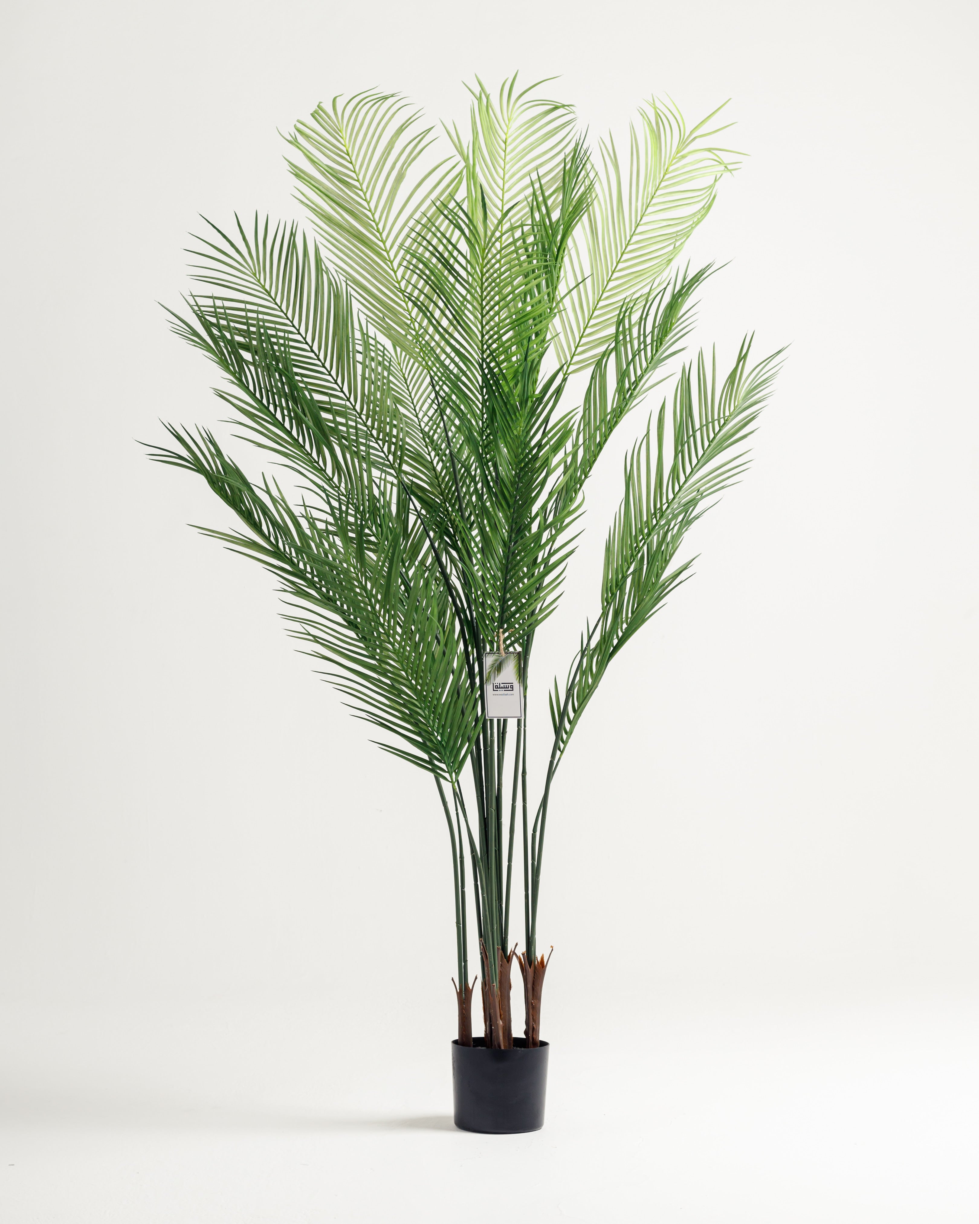 Areca Palm Artificial Plant