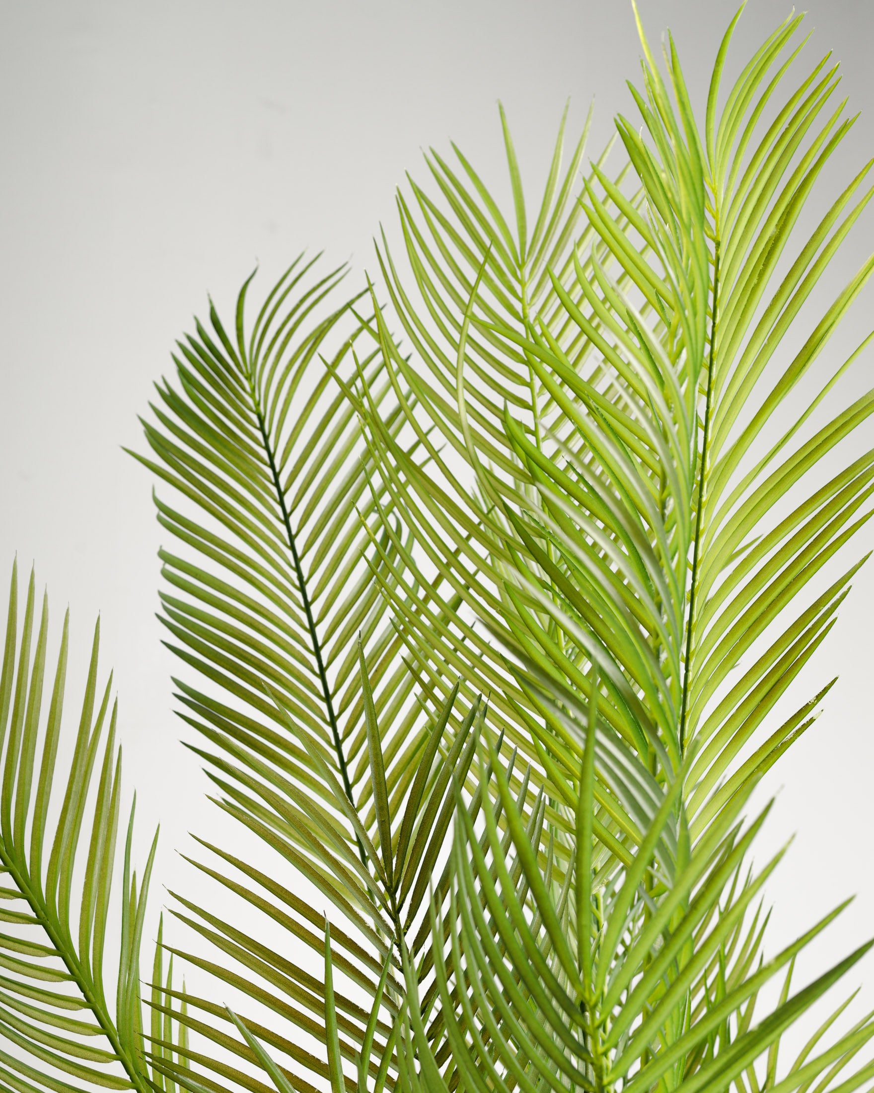 Areca Palm Artificial Plant - Wasilaah