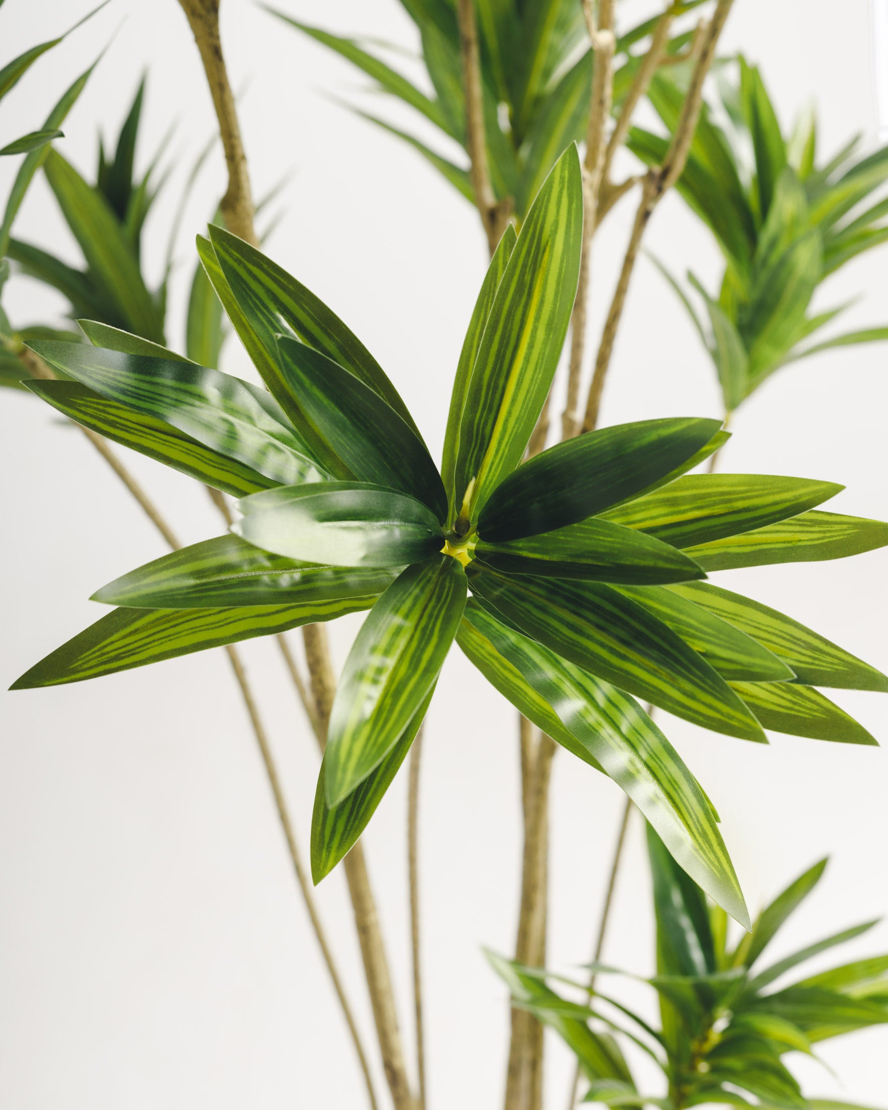 Dracaena Artificial Tree - Wasilaah