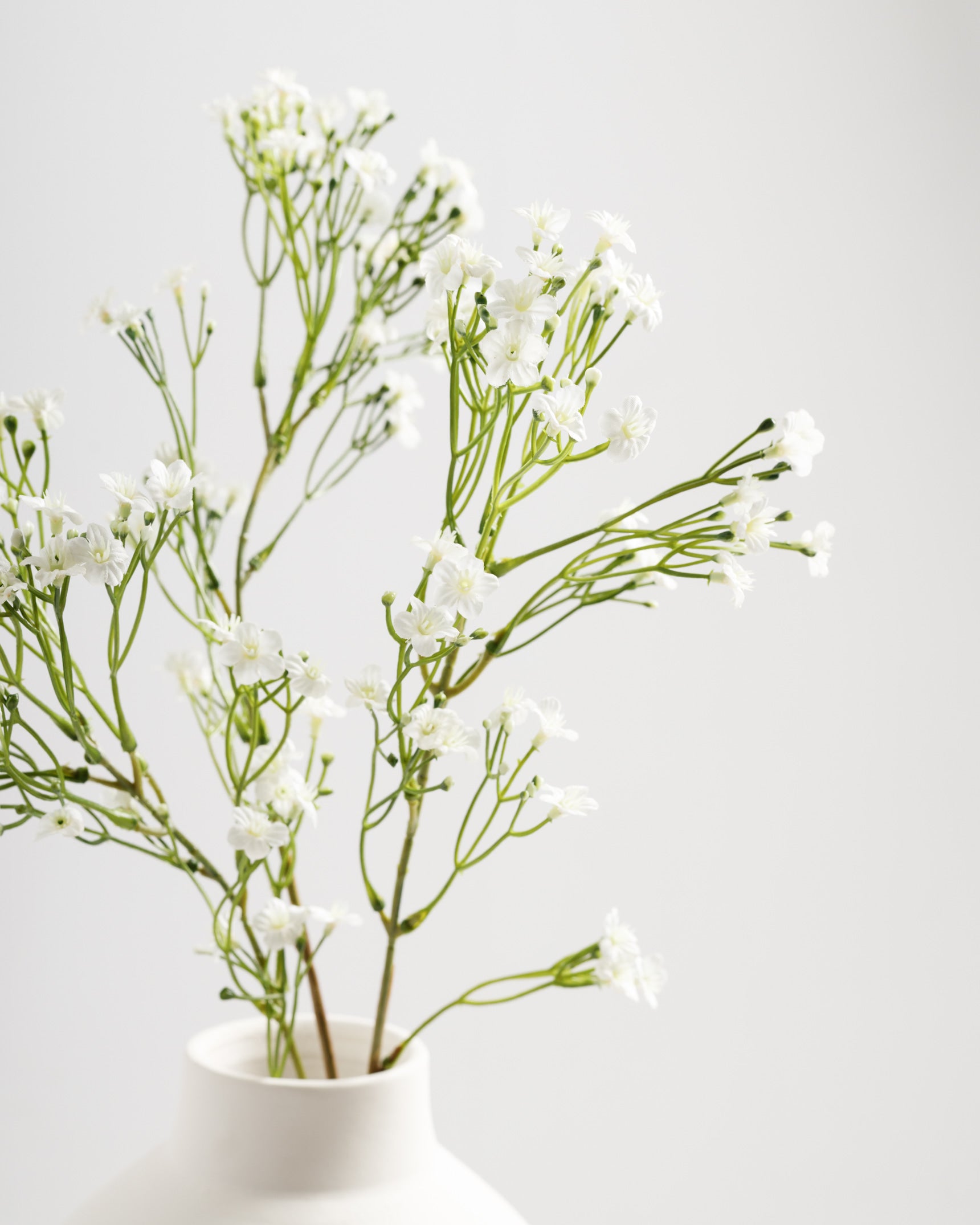 White Flowers Branch